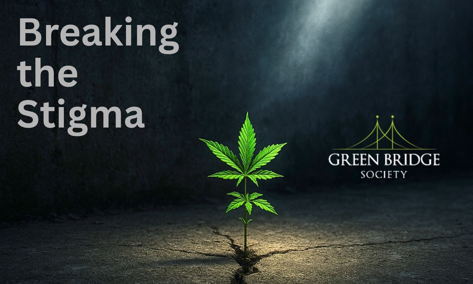 Breast Cancer & Cannabis — Evidence Snapshot