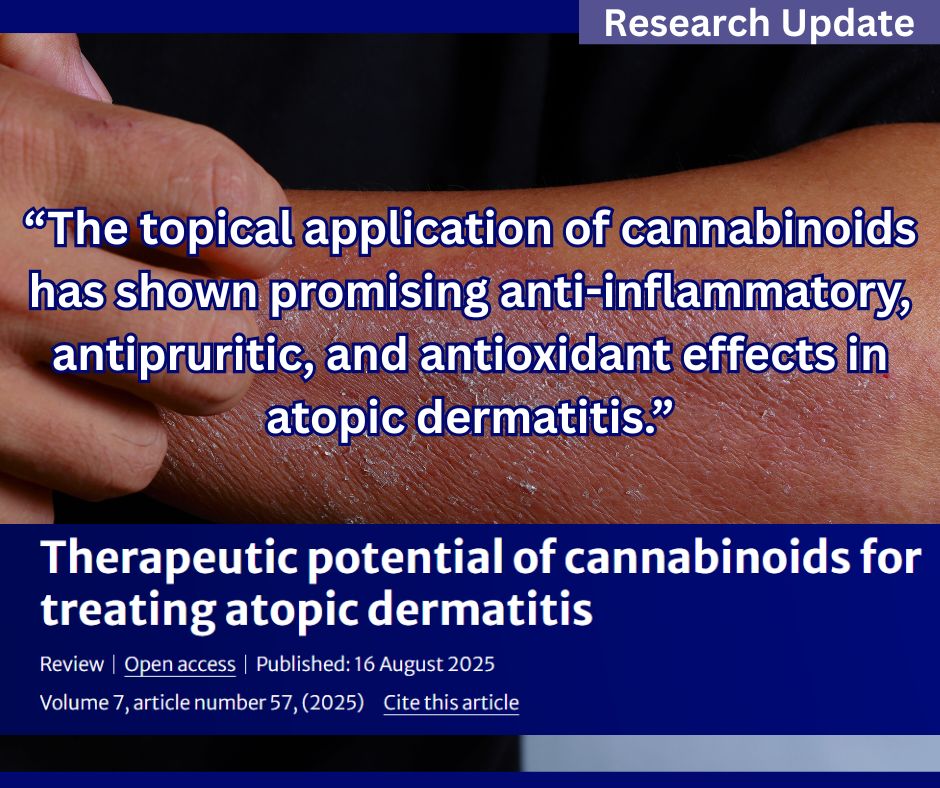 Cannabis & Pain — Educational Graphic