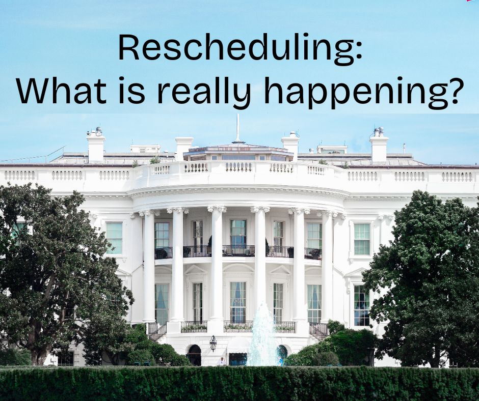 Cannabis & Pain — Educational Graphic