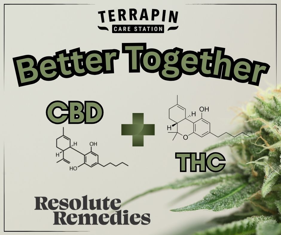 Pinene Terpene Spotlight