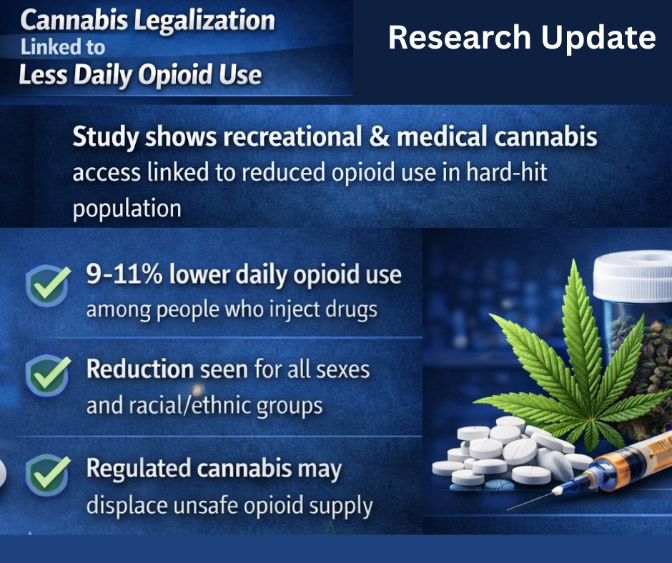 Hidden Phenolics in Cannabis Leaves