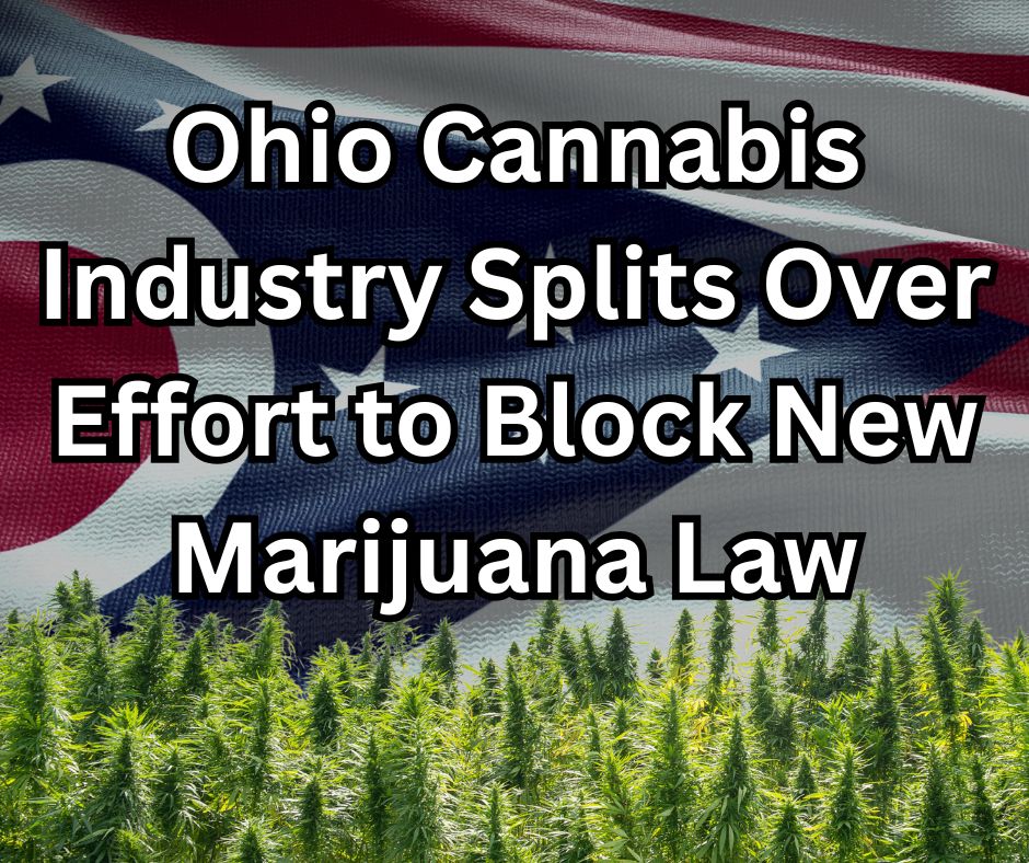 Partner Spotlight: Terrapin Care Station